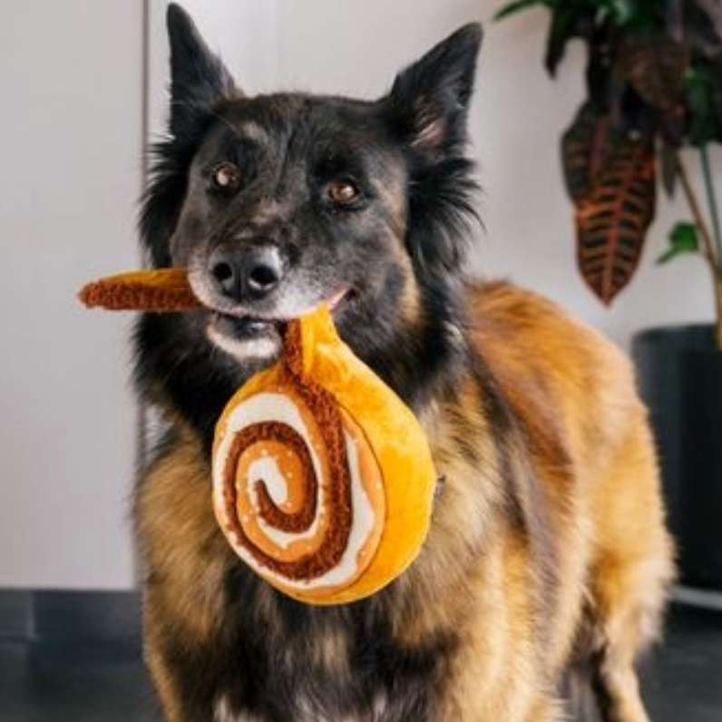 Hund mit Hundespielzeug Zimtschnecke | Franzbrötchen - P.L.A.Y