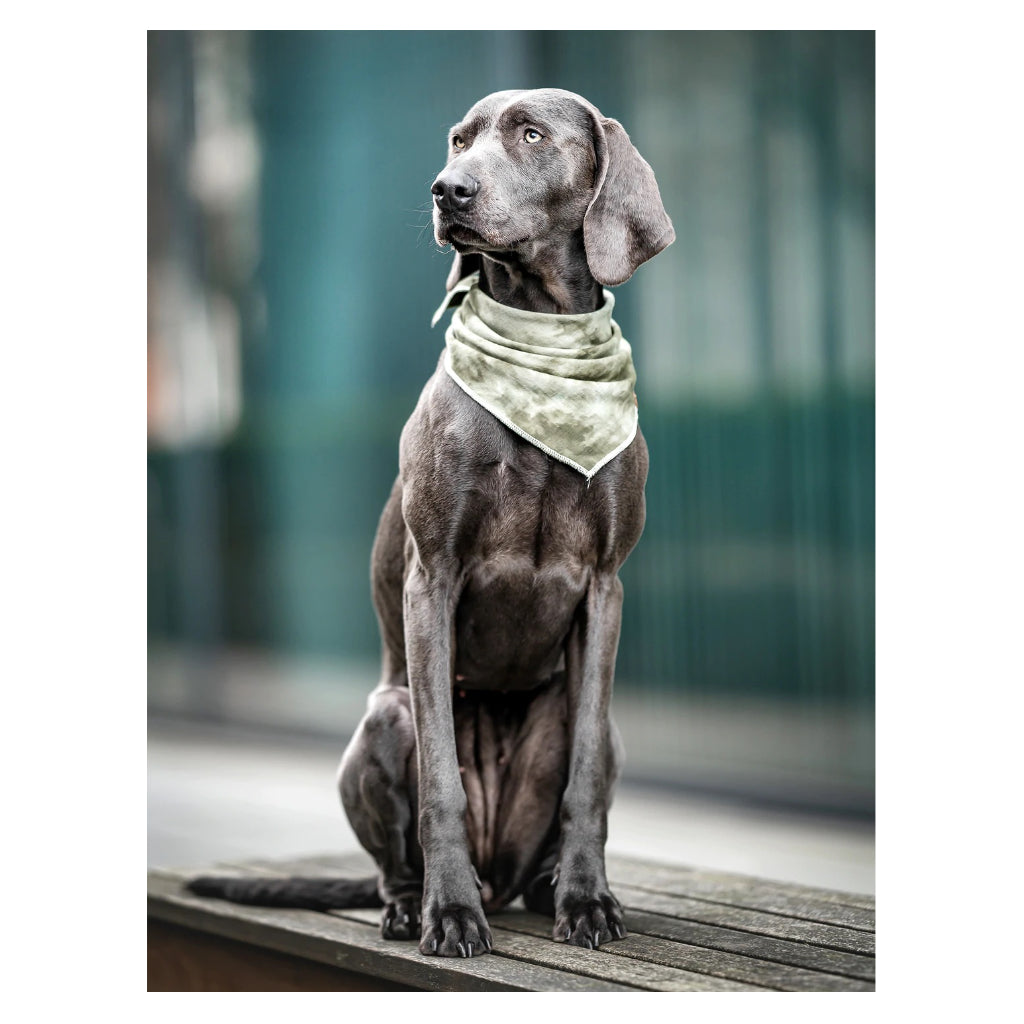 großer Hund mit Batik Halstuch aus Musselin olivgrün - Lieblingspfote