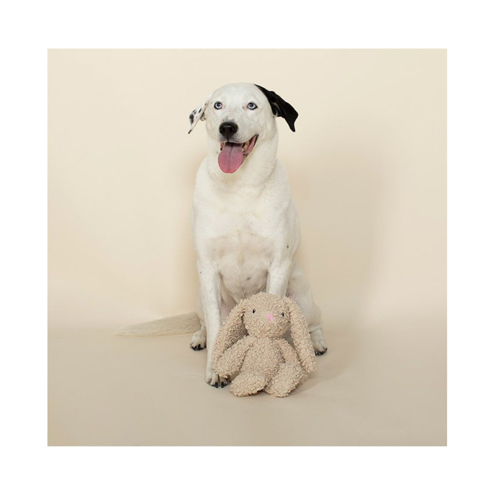 Hund mit Hase Love Bunny - PetShop by Fringe Studio