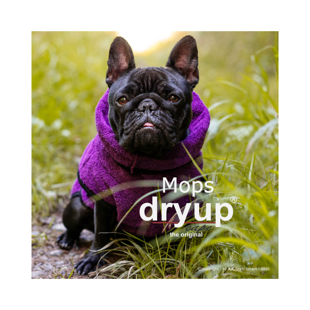 Hundebademantel DRYUP Cape MOPS Frenchie BILLBERRY - actionfactory