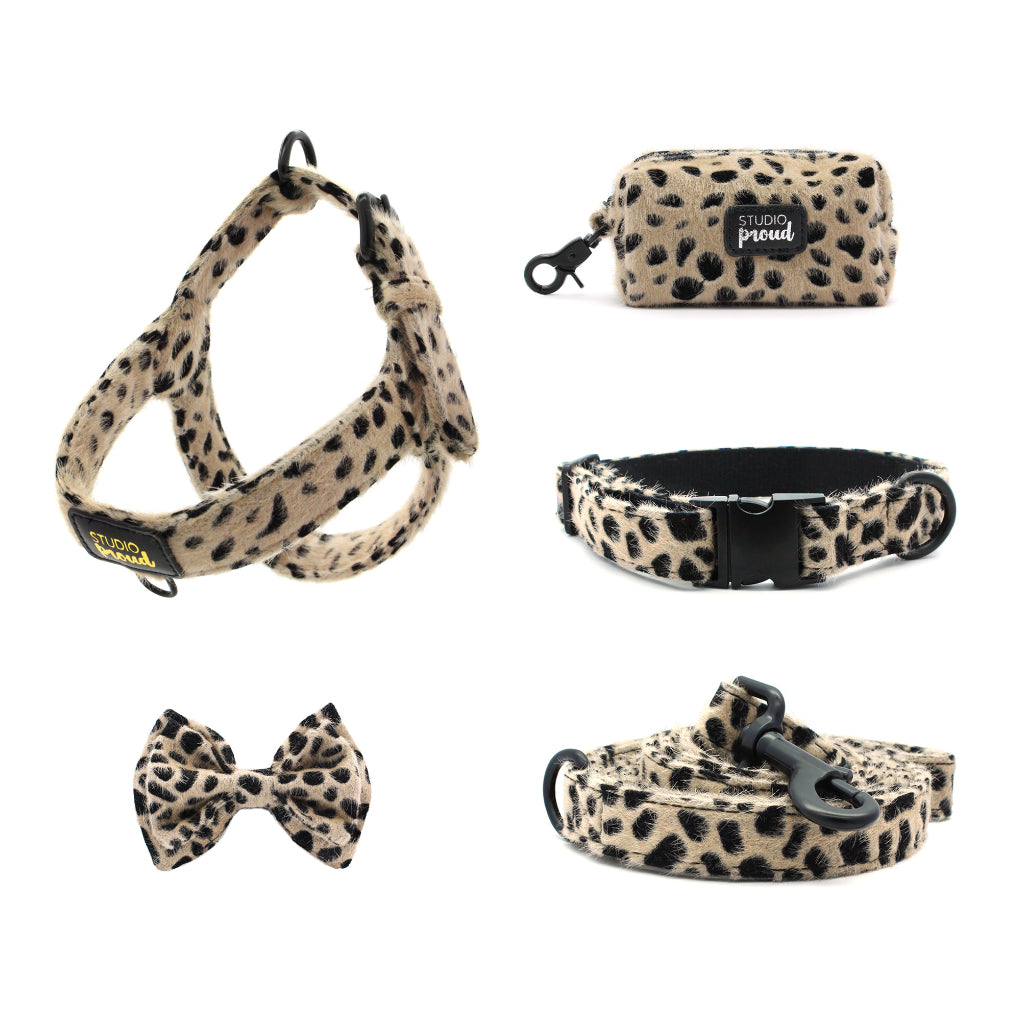 Übersicht Set Cheetah - geparden Look - Studio Proud