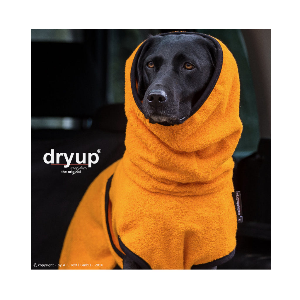 Hundebademantel DRYUP Cape CLEMENTINE - actionfactory