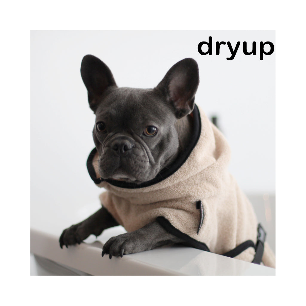 Hundebademantel DRYUP Cape Mops/Frenchie sand - actionfactory
