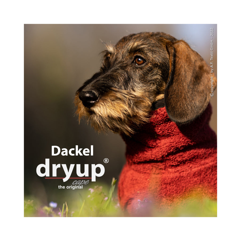 Hundebademantel DRYUP Cape Dackel bordeaux - actionfactory
