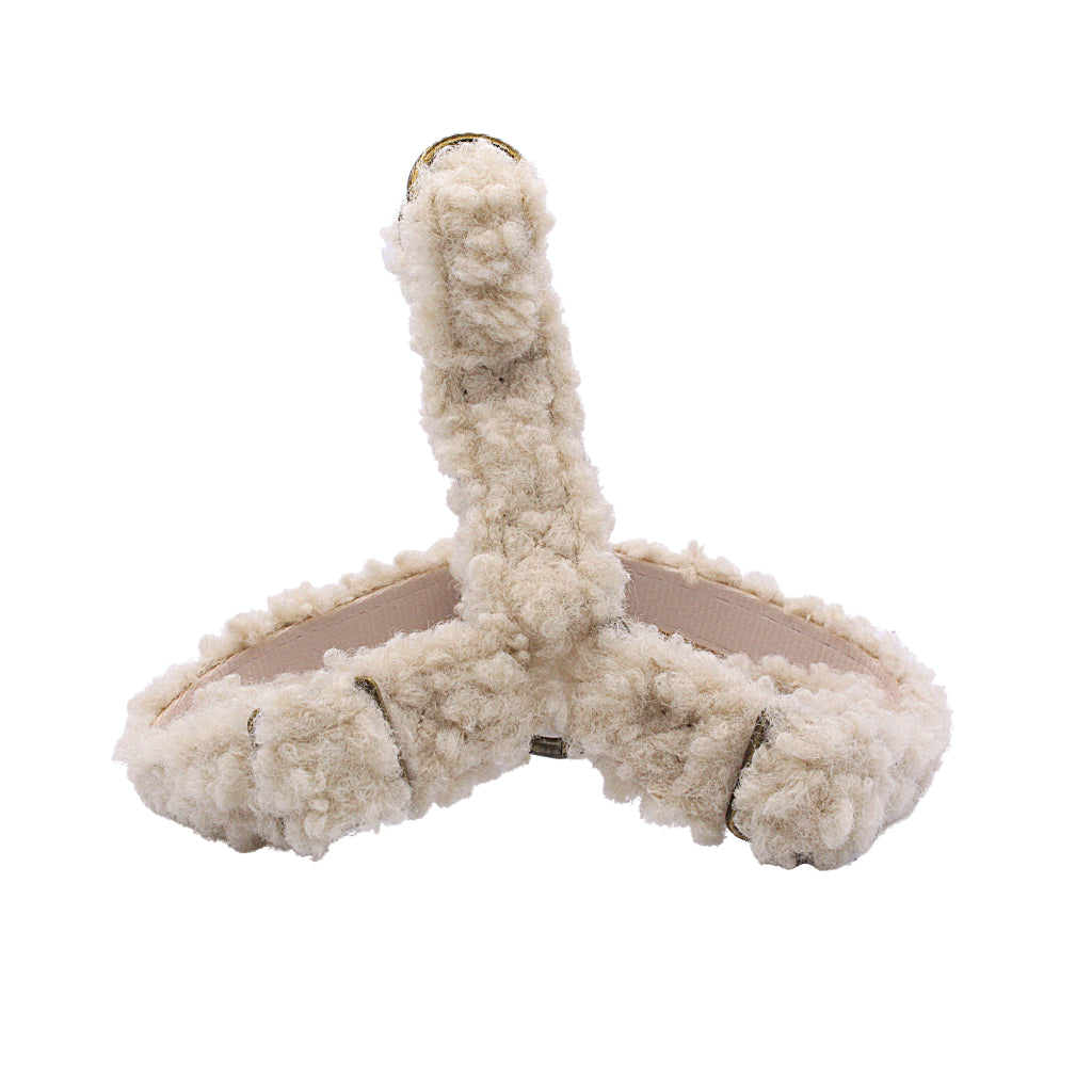 Geschirr Teddy light HALLEY