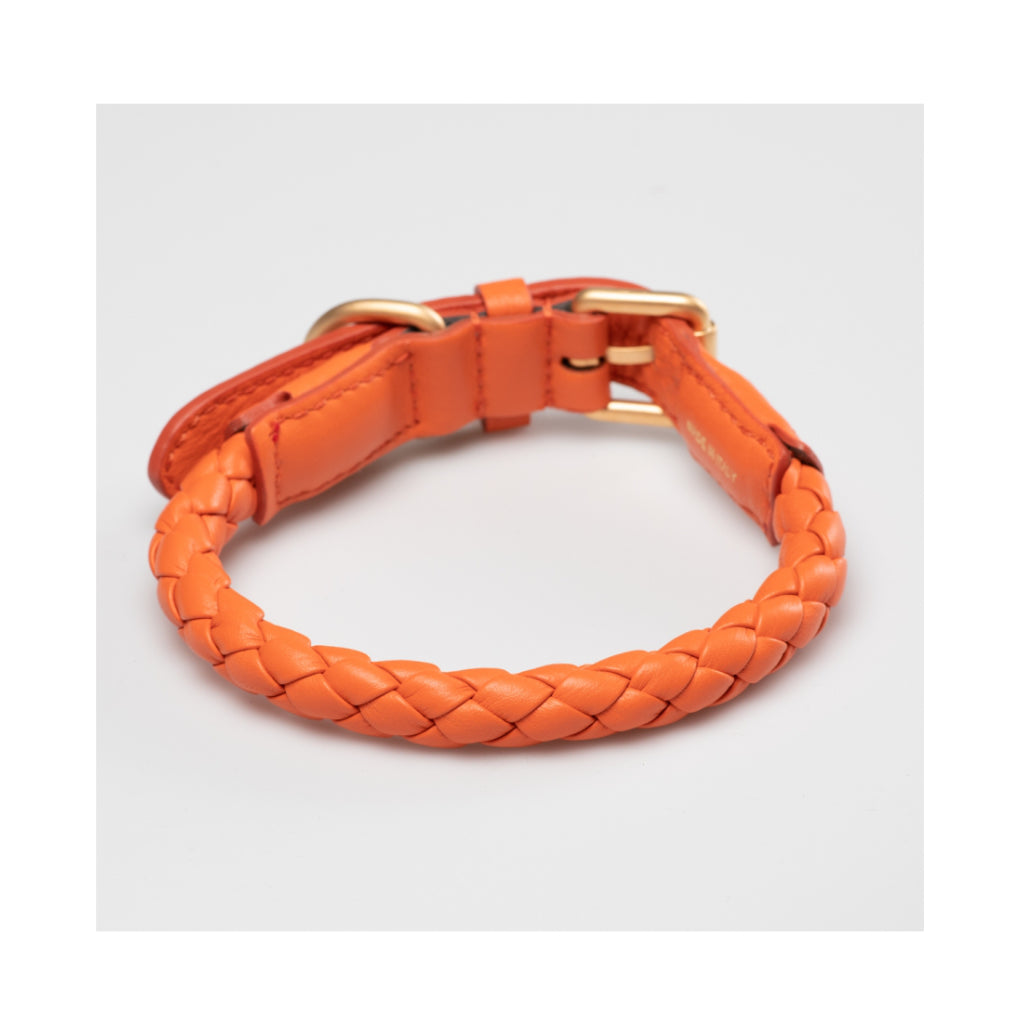 Halsband FERDINANDO tangerine orange 2 - 2.8 designs for dogs