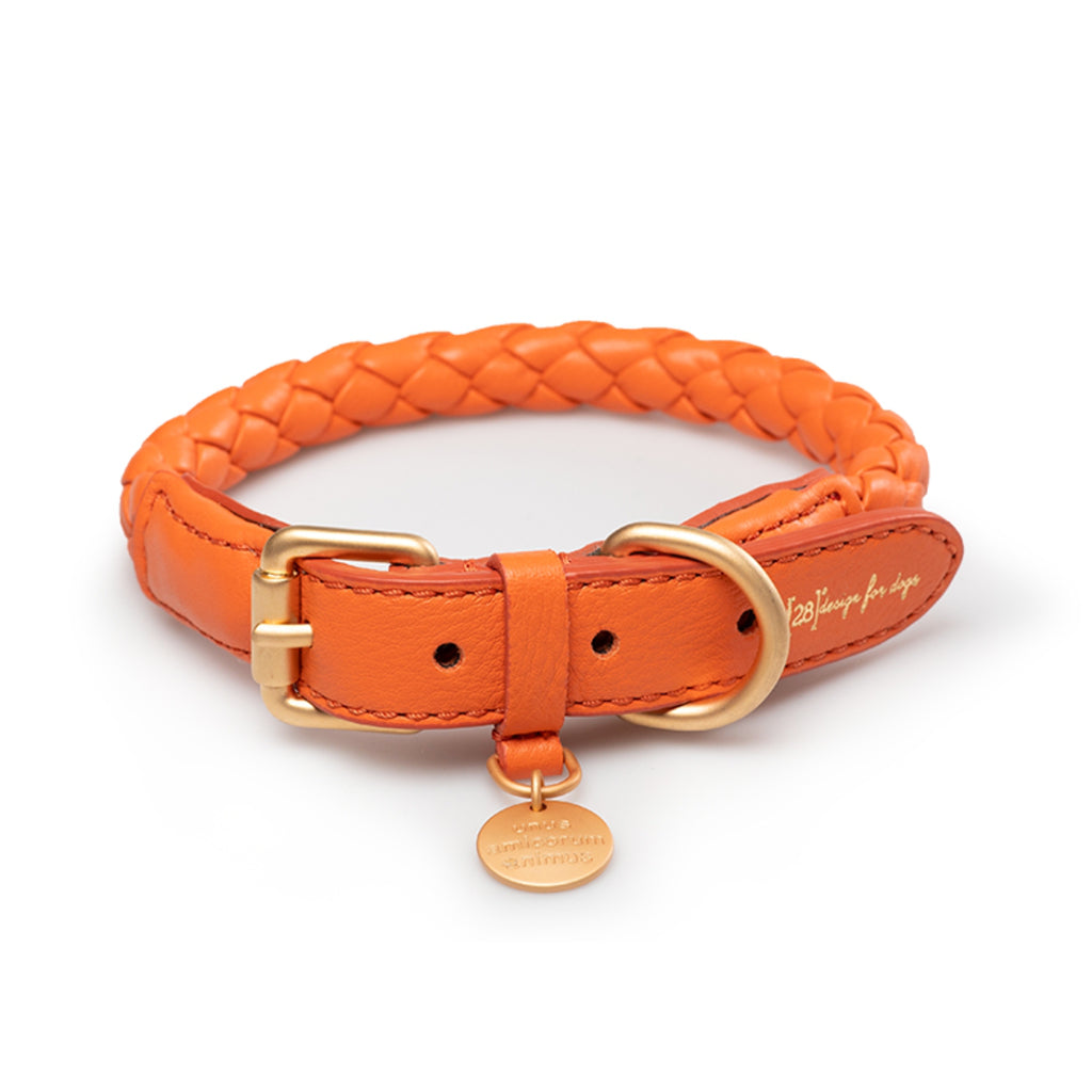 Halsband FERDINANDO tangerine orange - 2.8 designs for dogs