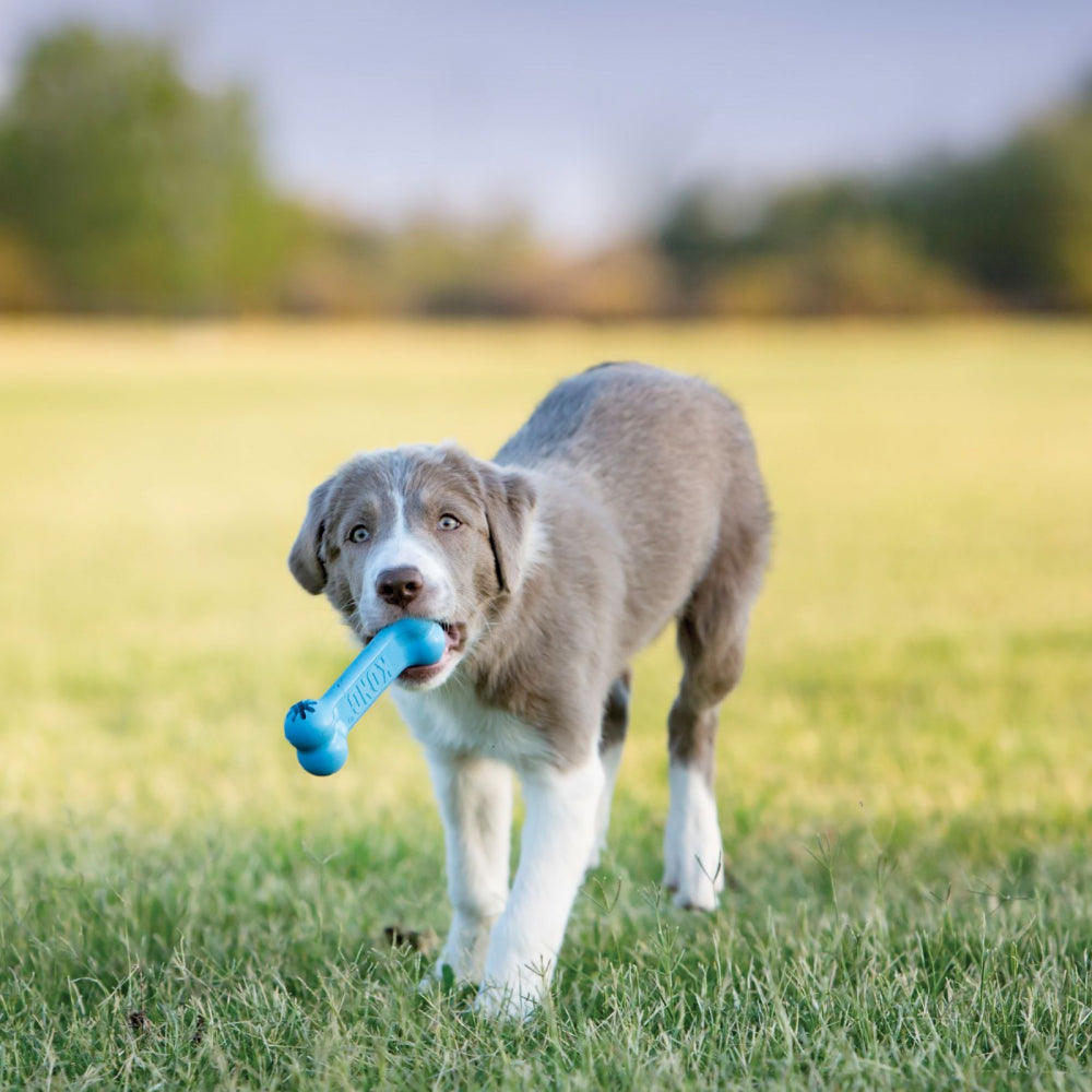 Hundespielzeug KONG® Puppy Goodie Bone™