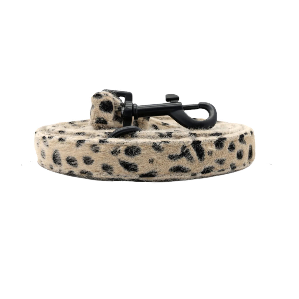 Hundeleine Cheetah - geparden Look - Studio Proud