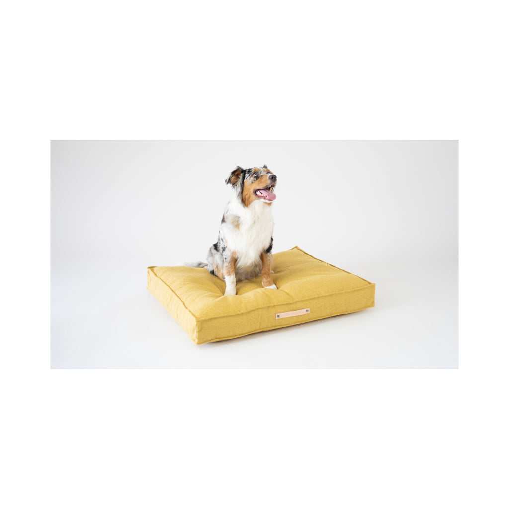 Hund sitzt auf Movik Hundekissen gelb - LABBVENN