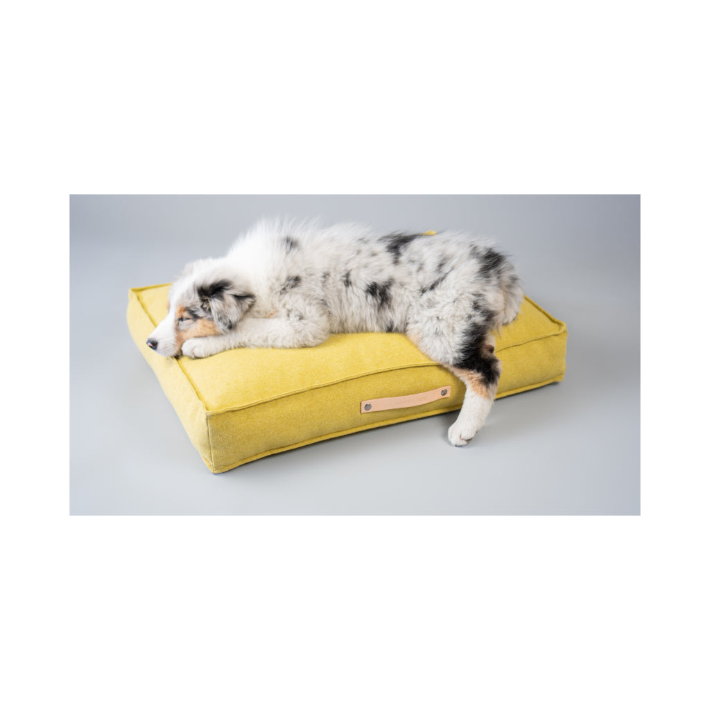 Hund liegend auf Movik Hundekissen gelb - LABBVENN