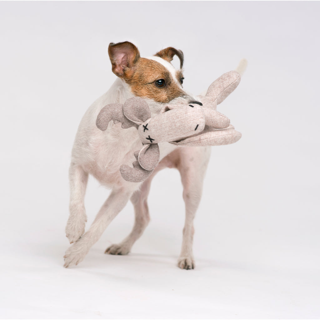 Hundespielzeug Rentier Marley im Maul vom Hunde - LILLY