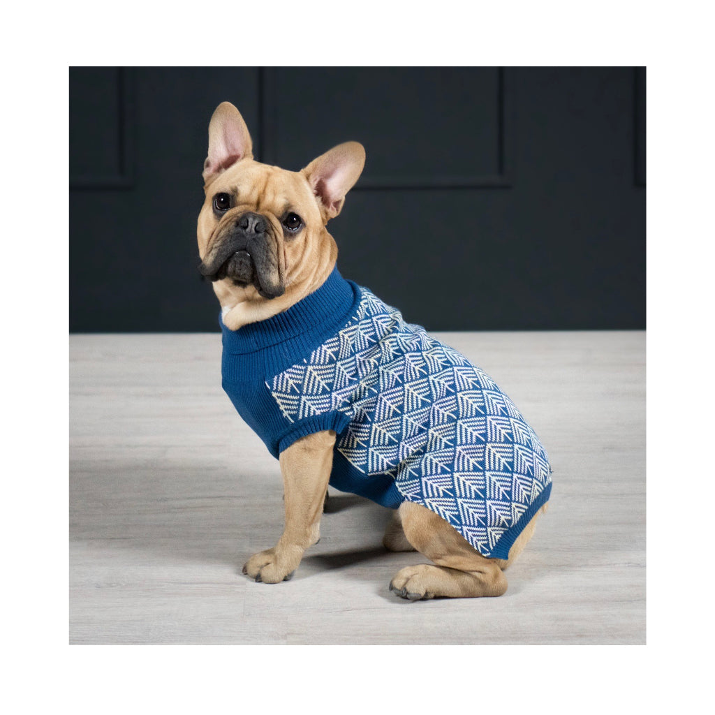 Frenchie mit Hundepullover PULLO blau - LABBVENN