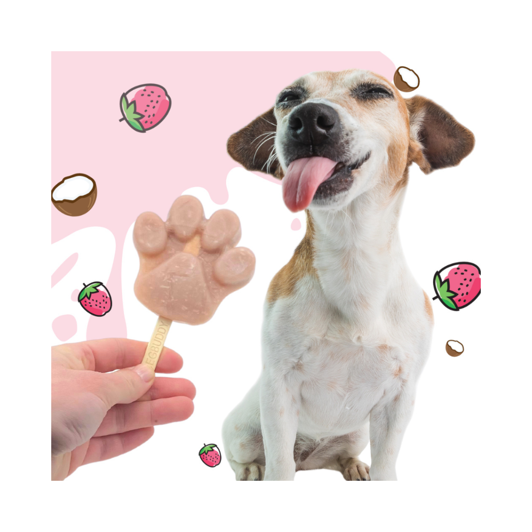 fertiges Hundeeis mit Erdbeere, Kokos und Quina am Stiel - BeG Buddy