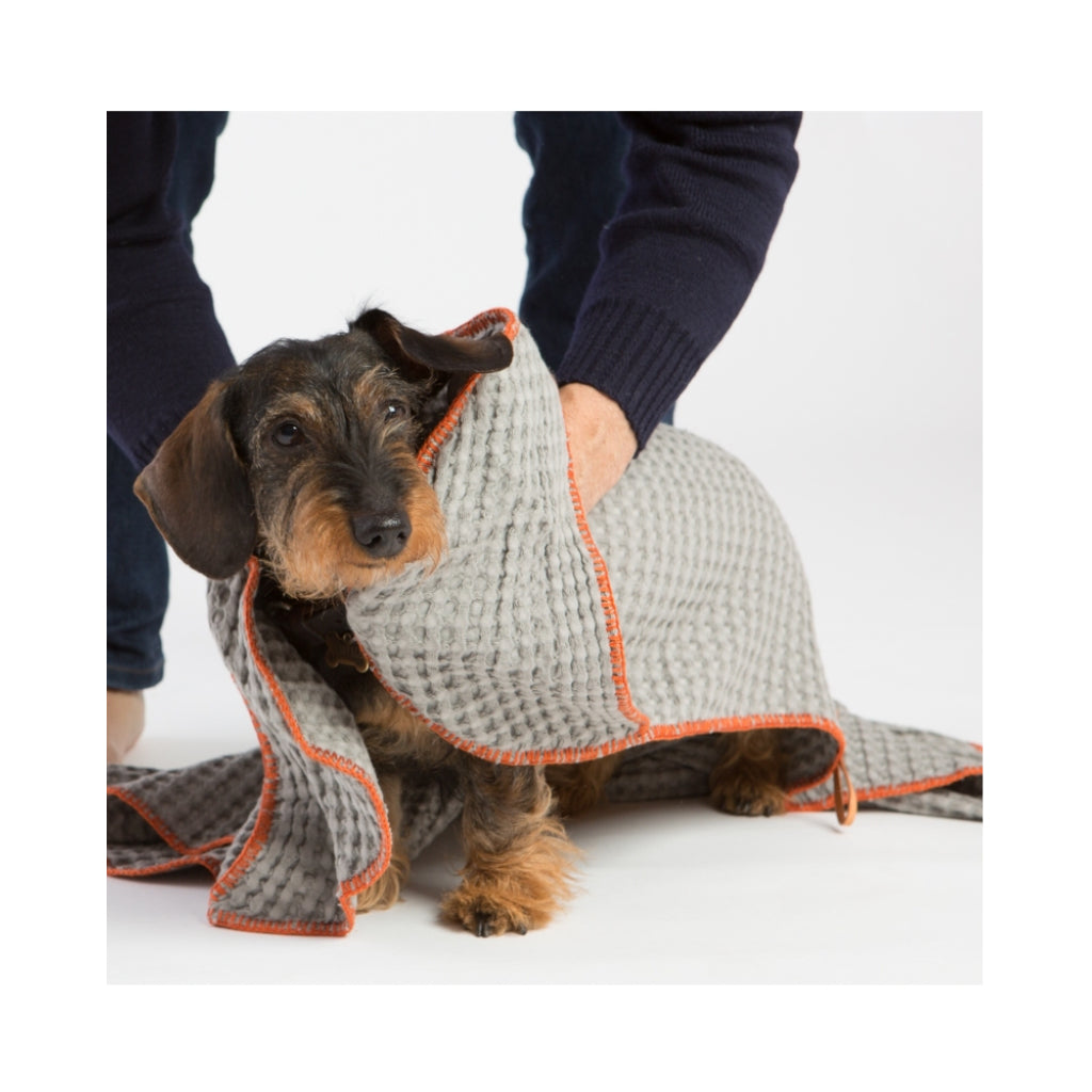 Dackel mit Hundehandtuch SALLY grau - 2.8 designs for dogs