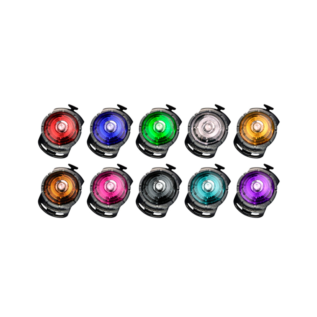 Farbübersicht Orbiloc® Dog Dual LED Hundesicherheitslicht