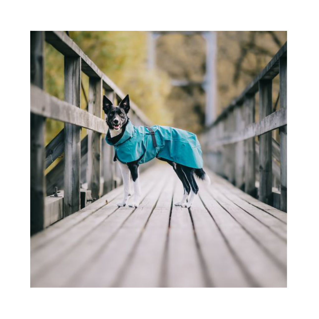 Hund mit Hunderegenmantel Raincoat Visibility EMERALD reflektierend - PAIKKA
