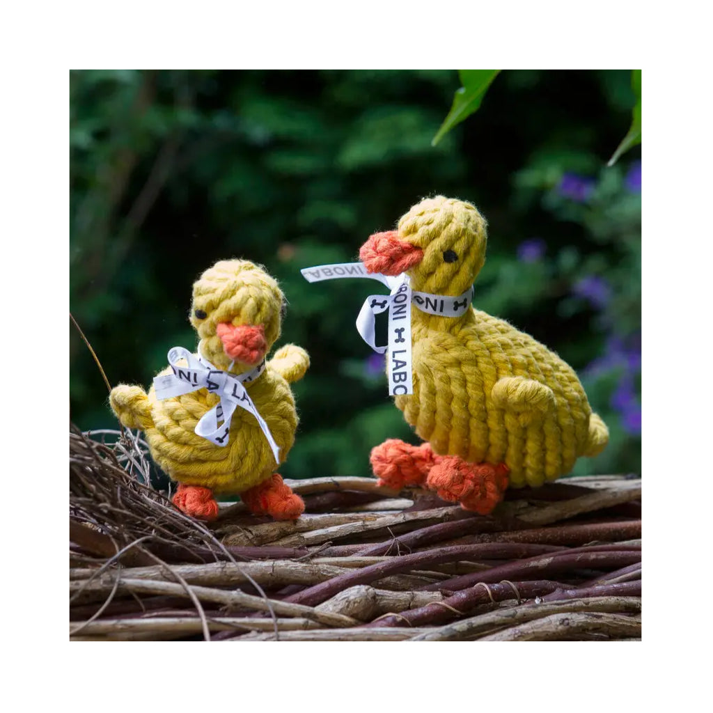 Hundekauspielzeug Ente Emma im Nest - Laboni