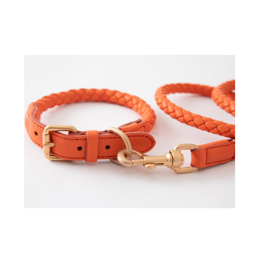 Leine & Halsband FERDINANDO tangerine orange - 2.8 designs for dogs