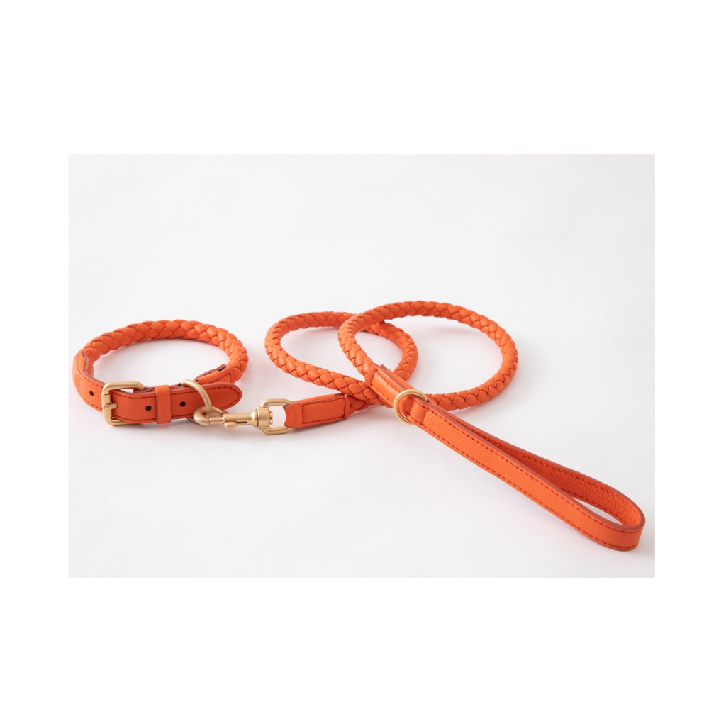 Leine & Halsband FERDINANDO tangerine orange 2 - 2.8 designs for dogs