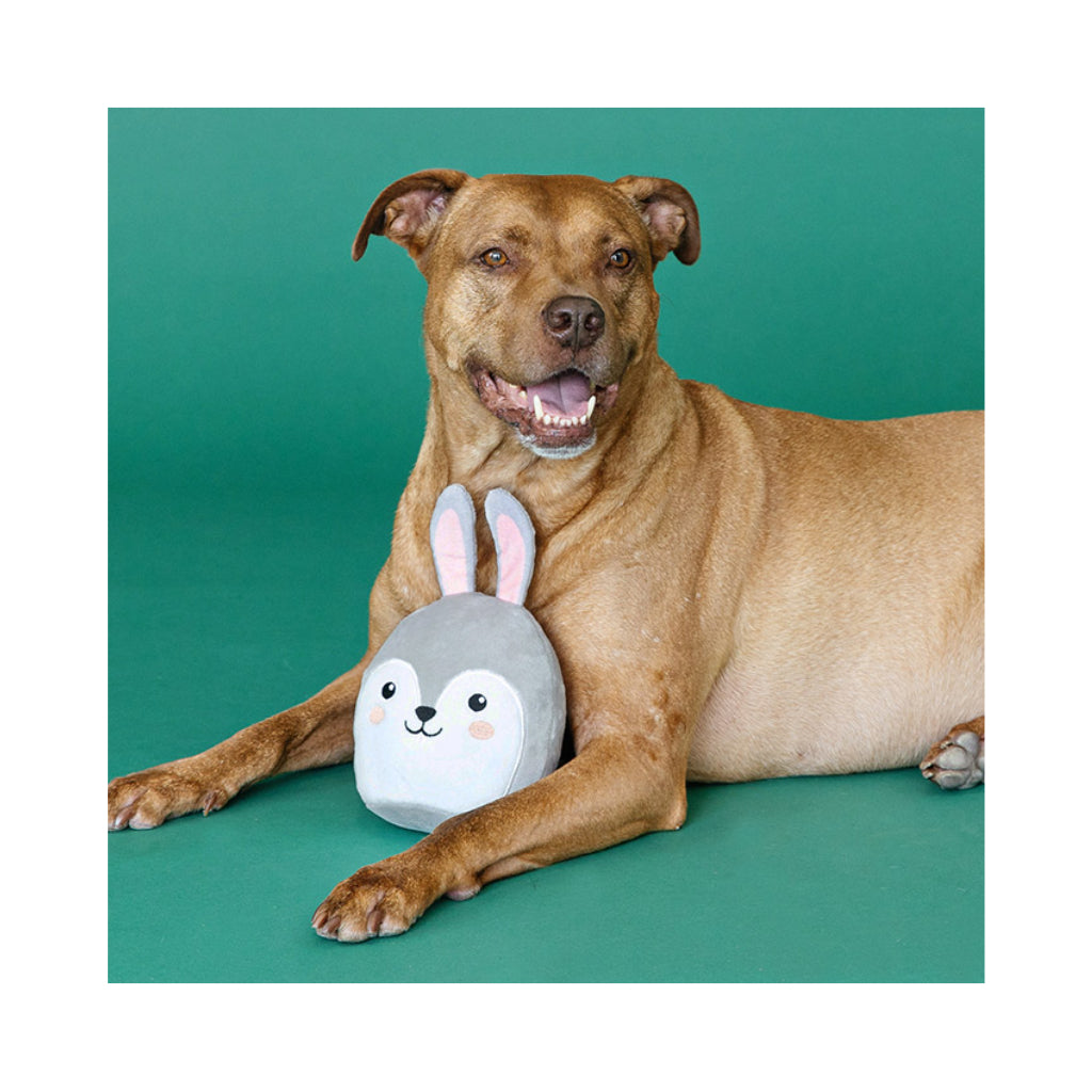 Hund mit Hundespielzeug Fluffy Buns - PetShop by Fringe Studio