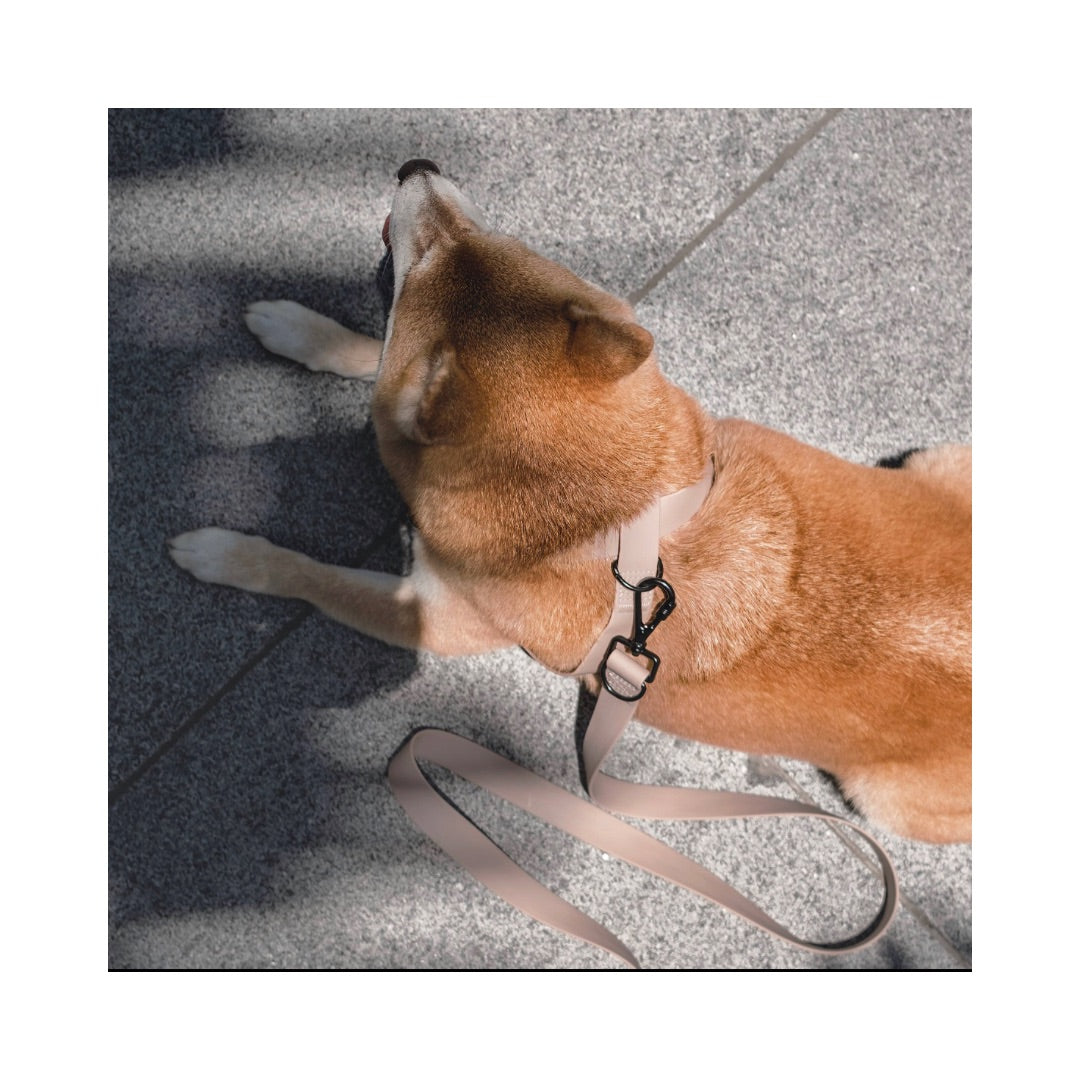Hund mit OTTO Geschirr abwaschbar MUTED PINK - Lambwolf Collective