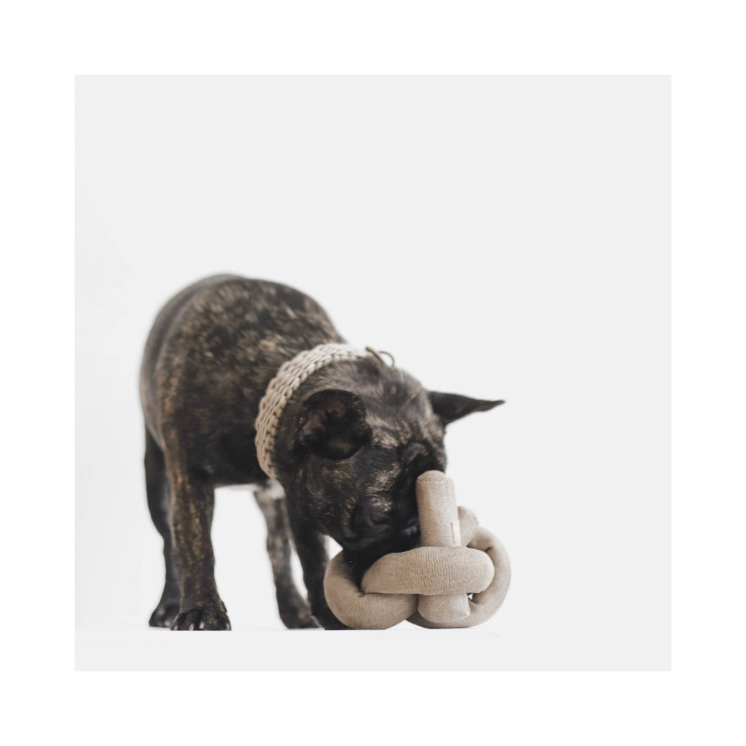 Hund mit NOUNOU Hundespielzeug Nudel Knoten TAN - Lambwolf Collective