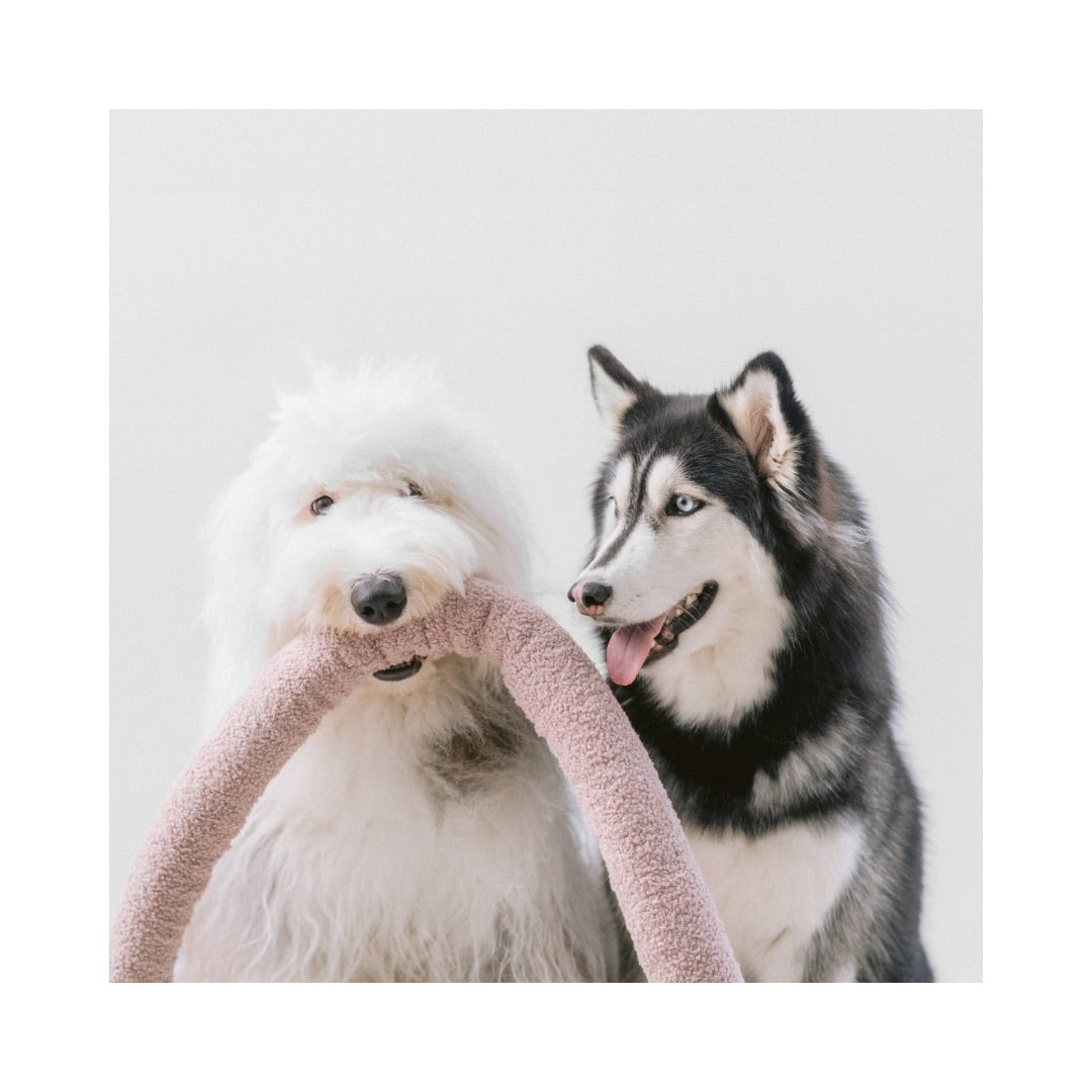 Hunde mit O NOU Hundespielzeug Nudel Knoten MAUVE Rosé - Lambwolf Collective