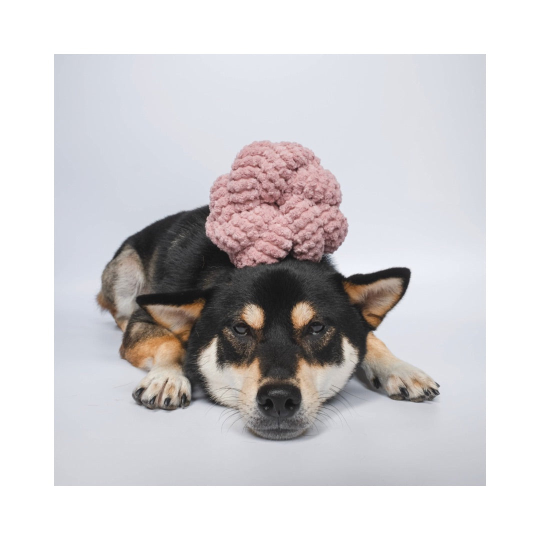 Hund mit NOUNOUNOU Hundespielzeug Nudel Knoten ROSE mit Crinkles für Welpen - Lambwolf Collective
