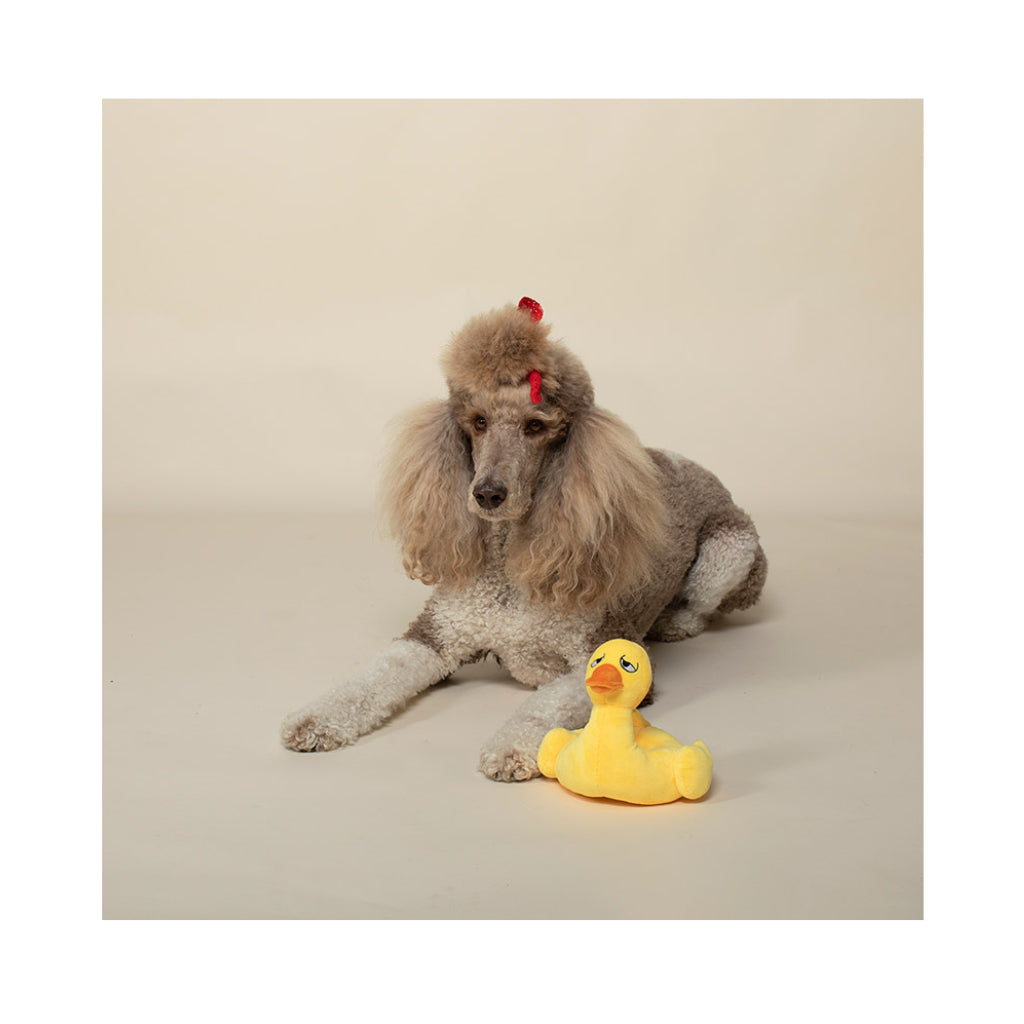Hund mit Ente DUCK JUST FLOATING - PetShop by Fringe Studio