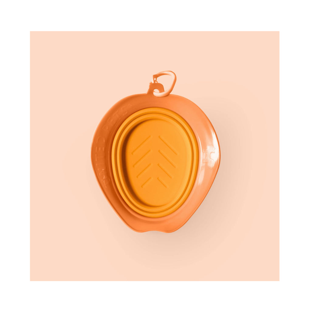 Leaf Bowl Silikon Napf faltbar Orange zusammengafaltet - United Pets