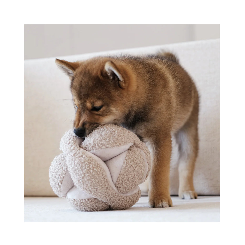 Hund mit MONTI Schnüffelball Hundespielzeug Beige mit Crinkles - Lambwolf Collective