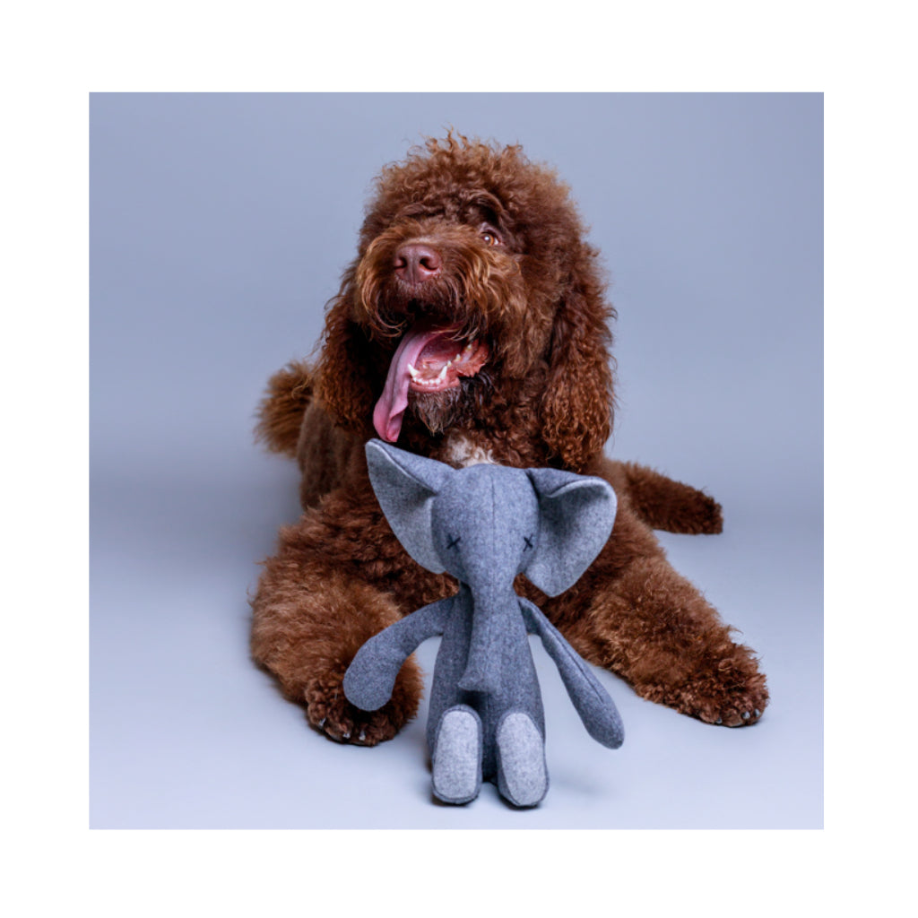 Hund mit Hundespielzeug STEFAN The Elephant - Lillabel / Lilly