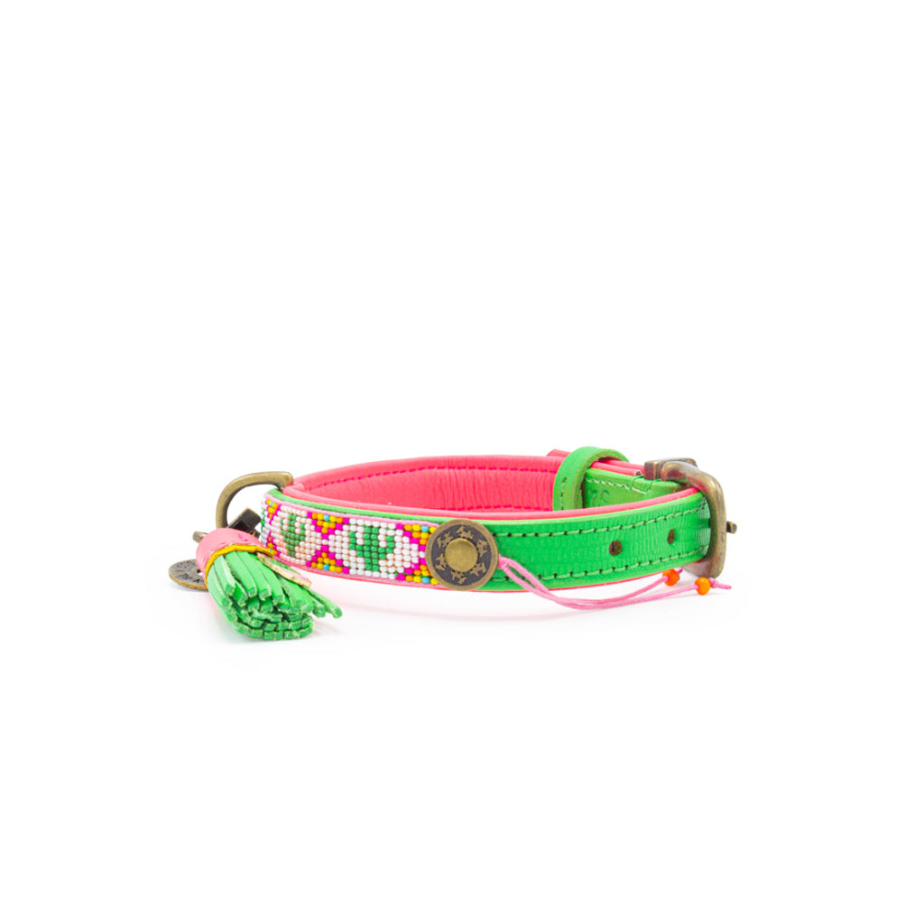 Tropical Summer Halsband für Hunde Muster - Dog with a Mission - DWAM